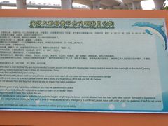 -演武大桥观景平台