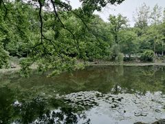 -灵谷景区