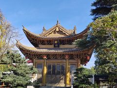 -上海东林寺(金山区)
