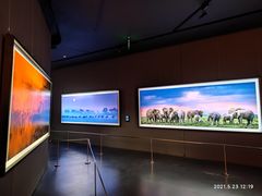 -罗红摄影艺术馆