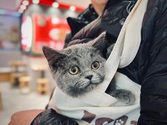-1013 PET SHOP 宠物商店(近铁城市广场店)