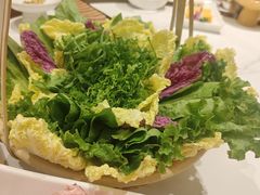 蔬菜拼盘-黑驴王子驴肉火锅