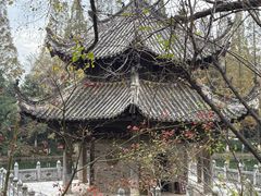 -习家池