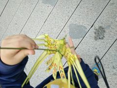 -长兴太湖图影湿地文化园