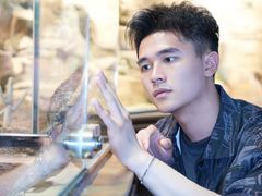 -帕帕拉兹宠物(亚洲旗舰店)