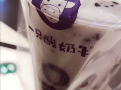 -一只酸奶牛(锦城万达天虹店)
