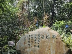 -晓港公园