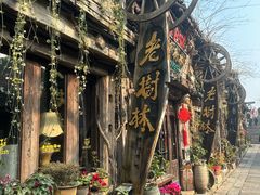 -乌镇西栅景区