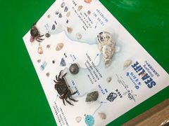 -沈阳海洋探索中心