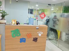-酷狗靓猫宠物·洗护·美容·寄养(航北路店)