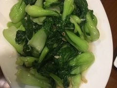 -青梅竹酒