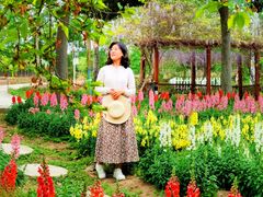 -天适樱花悠乐园
