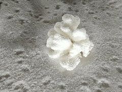 -青岛贝壳博物馆