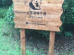 -上海崇明金茂凯悦酒店