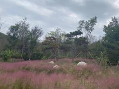 -照金香山旅游景区