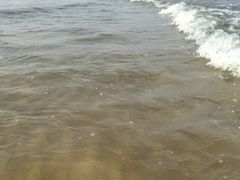 -秦皇岛阿尔卡迪亚滨海度假酒店