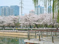 景点-西北湖绿化广场