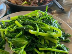 -马帮菜馆·美味野生菌