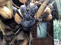 -海盗餐厅