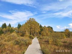 -塞罕坝国家级自然保护区