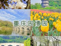 -南山植物园
