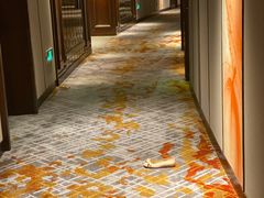 -杭州君悦酒店