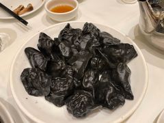 -金春禧(世茂国际广场店)