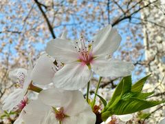 -复旦大学本部-食堂