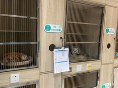 -虹泰宠物医院 ·旗舰店·24h(南秀路店)