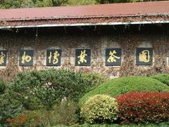-中国茶叶博物馆(双峰馆区)