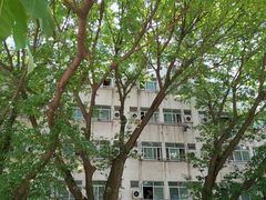 -广东金融学院(校本部)