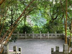 -水濂山森林公园