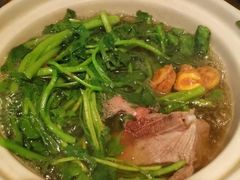 老火煲西洋菜-沙龙酒家