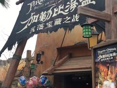 -迪士尼乐园停车场