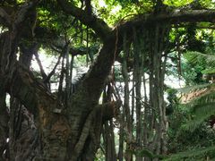-龙达温泉生态城