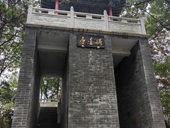 -青龙山国家森林公园