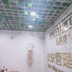 -凡碧诗毛孔收细