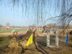 -长兴太湖图影湿地文化园