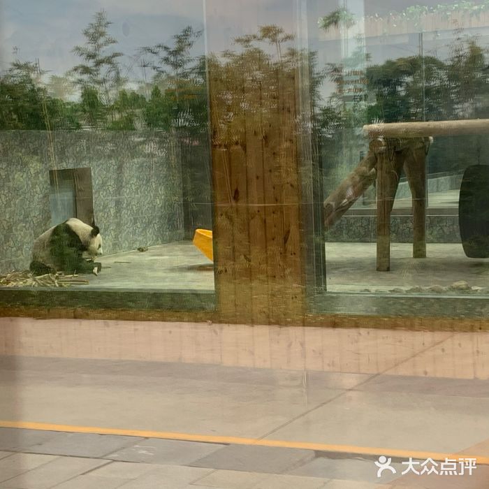 西安秦岭野生动物园图片