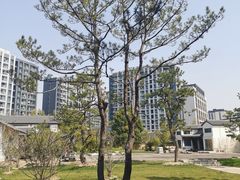 -法华学问寺-停车场
