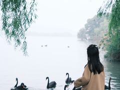 -长兴太湖图影湿地文化园