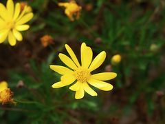 -上海滴水湖皇冠假日酒店