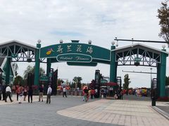 -荷兰花海