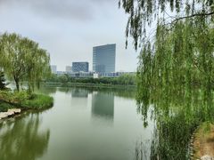 -大兴滨河森林公园