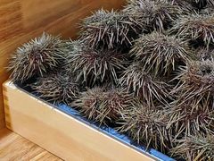 -鮨乐亭Omakase·海胆宴