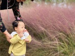 -南湖湿地公园