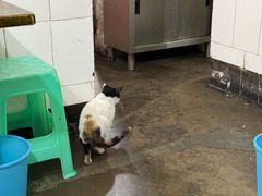 -手提串串香