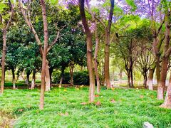 -白塘生态植物园