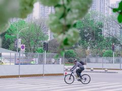 -大龙山(地铁站)