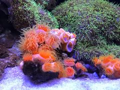 -厦门海底世界